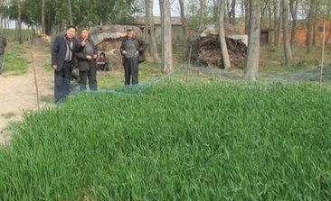 山东省征地公告